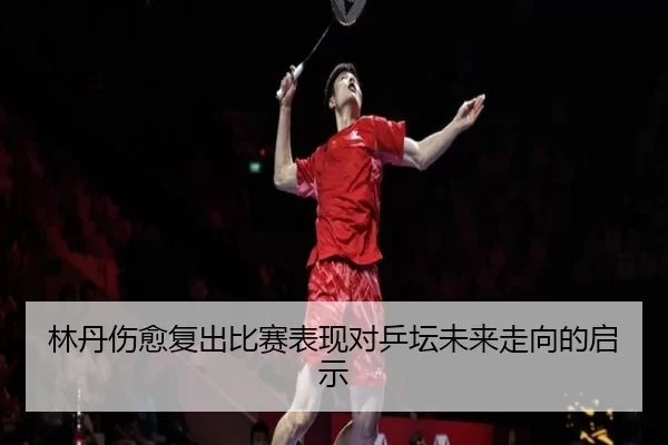 林丹伤愈复出比赛表现对乒坛未来走向的启示