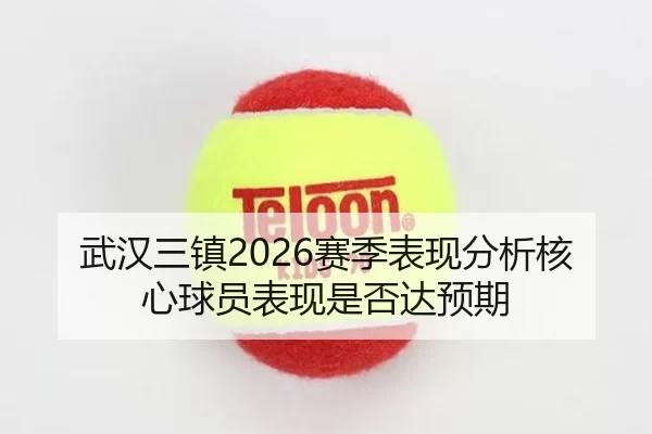 武汉三镇2026赛季表现分析核心球员表现是否达预期