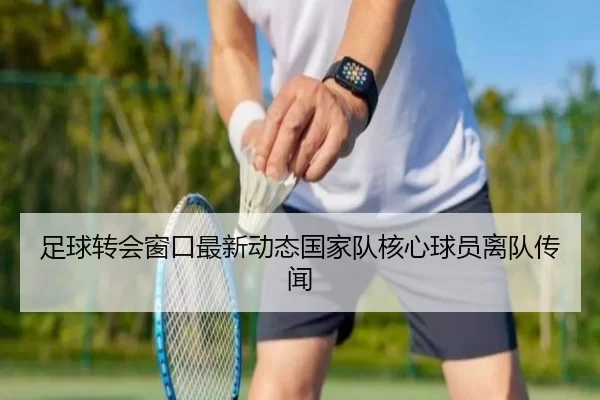 足球转会窗口最新动态国家队核心球员离队传闻